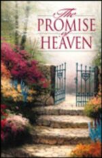 PROMISE OF HEAVEN - 25-PACK O/P