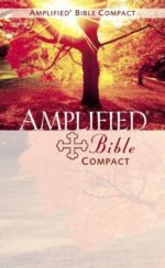 AMPLIFIED OUTREACH BIBLE