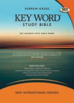 NIV HEBREW-GREEK KEY WORD STUDY BIBLE