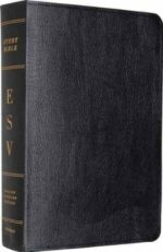 ESV STUDY BIBLE GEN LEATHER