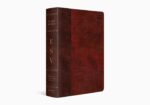ESV STUDY BIBLE TT BURGUNDY TIMELESS O/P