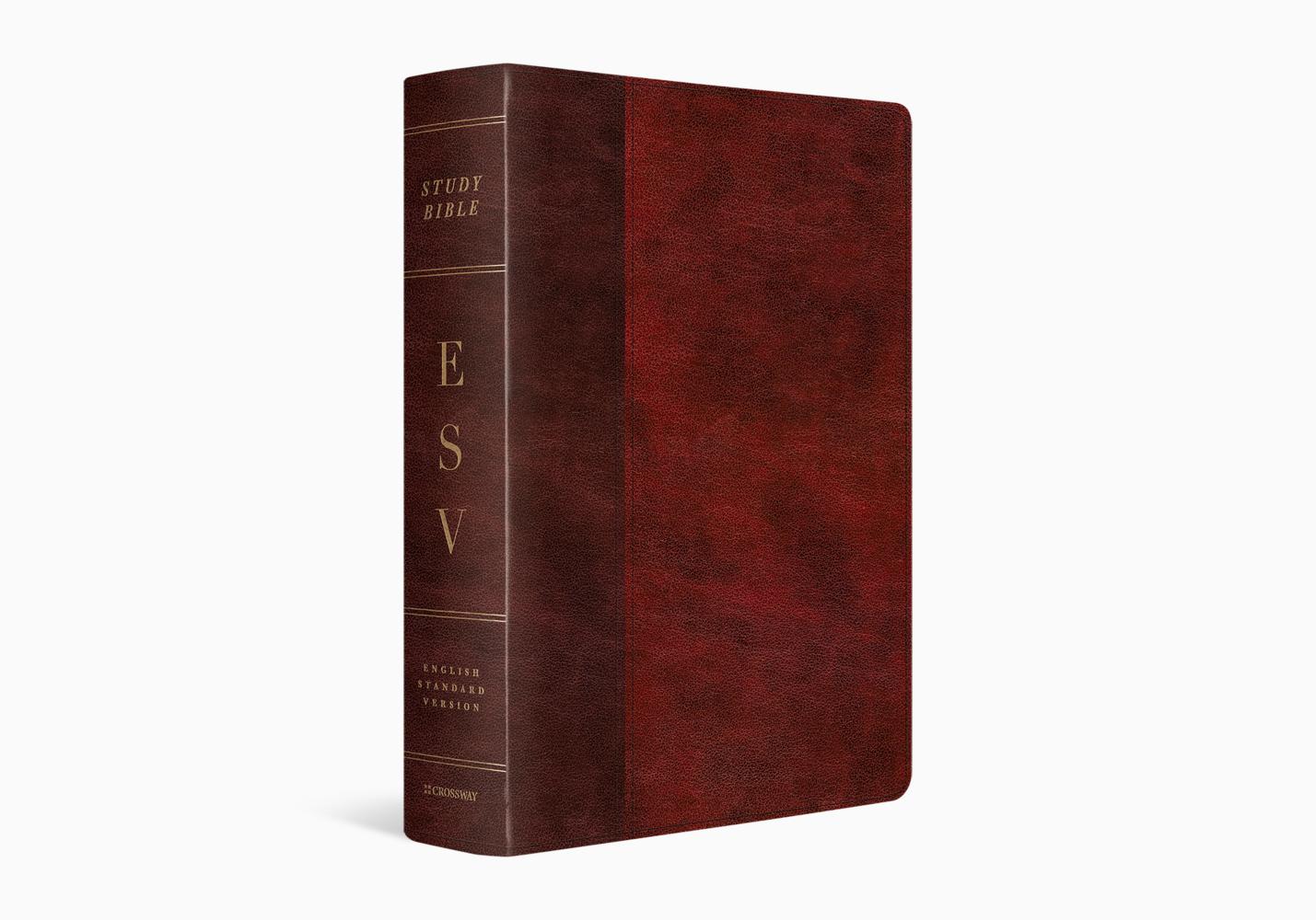 ESV STUDY BIBLE TT BURGUNDY TIMELESS O/P