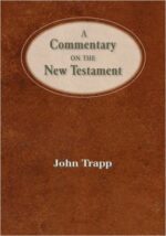 COMMENTARY ON THE NEW TESTAMENT