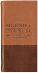 MORNING AND EVENING B/L TAN/BURG