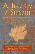 TREE BY A STREAM, THE BBX