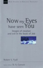 NOW MY EYES HAVE SEEN YOU - NSBT