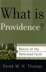 WHAT IS PROVIDENCE? - BOTF