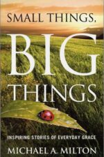 SMALL THINGS BIG THINGS