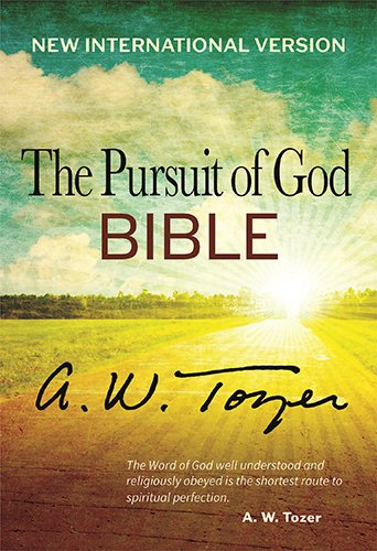 NIV PURSUIT OF GOD BIBLE