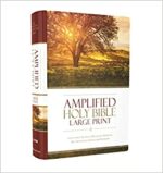 AMPLIFIED LARGE PRINT H/C