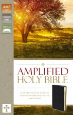 AMPLIFIED BLACK BL BIBLE