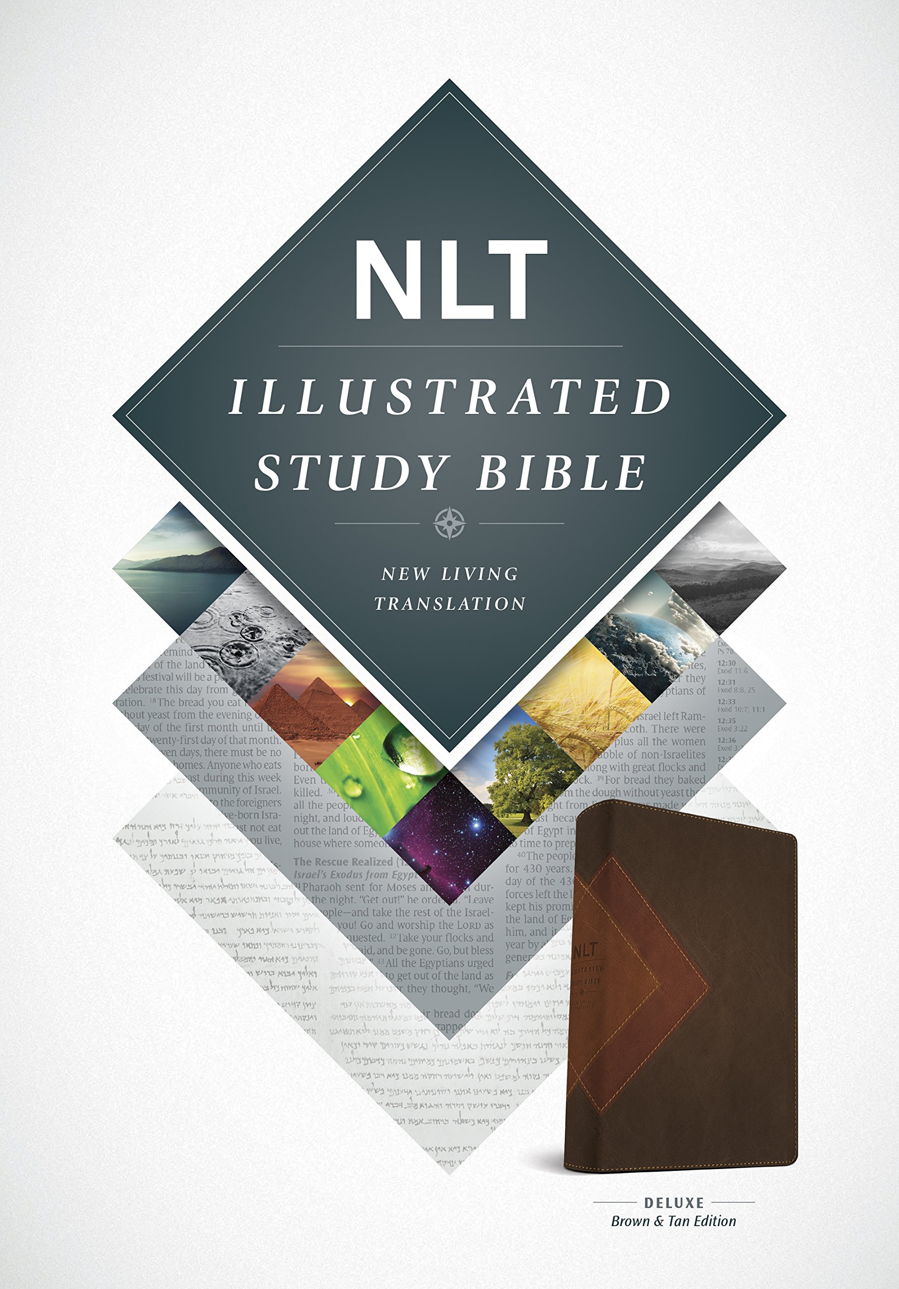 NLT ILLUSTRATED STUDY BIBLE BROWN/TAN