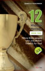 TWELVE HIDDEN HEROES NT BOOK 2