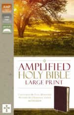 AMPLIFIED LARGE PRINT BL