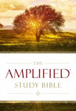 AMPLIFIED LARGE PRINT STUDY BIBLE