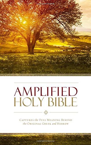 AMPLIFIED BIBLE H/C
