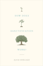 HOW DOES SANCTIFICATION WORK?