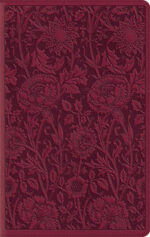 ESV COMPACT LARGE PRINT TT BERRY