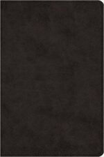 ESV LP VALUE THINLINE TT BLACK