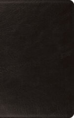 ESV LP THINLINE GL BLACK