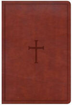 CSB GIANT PRINT REF BROWN IM