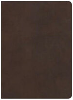 CSB STUDY BIBLE BROWN - GENUINE LEATHER