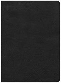 CSB STUDY BIBLE BLACK DELUXE IM