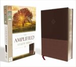 AMPLIFIED STUDY BIBLE BROWN IM