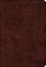 ESV SUPER GIANT PRINT TT BURGUNDY