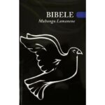 XITSONGA 1989 MED S/C