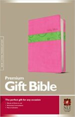 NLT PREMIUM GIFT PINK/ PISTACHIO