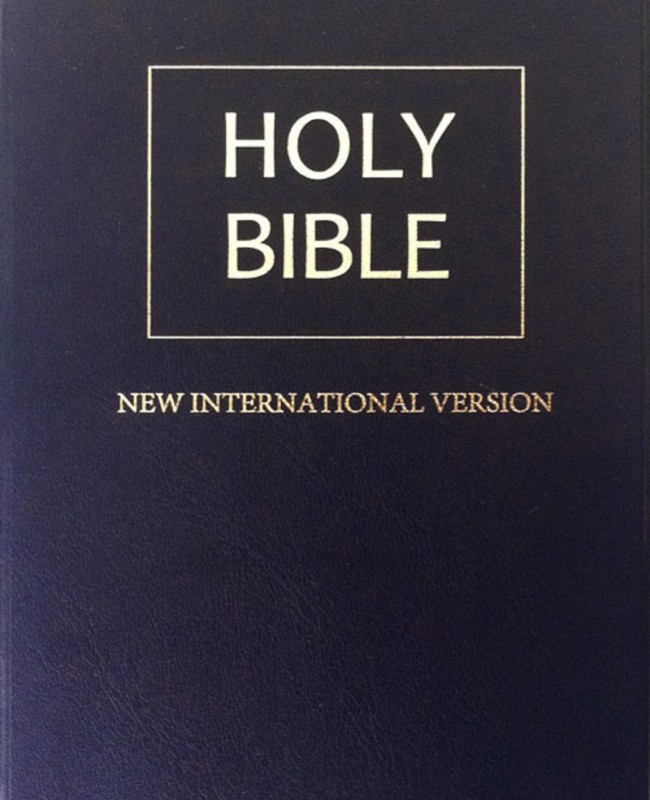 NIV VINYL NAVY BIBLE