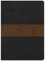 CSB SPURGEON STUDY BIBLE BL/BR IM