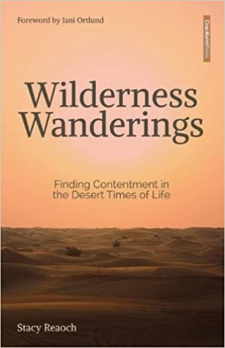 WILDERNESS WANDERINGS