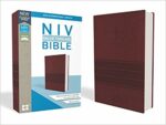 NIV VALUE THIN BURGUNDY IM