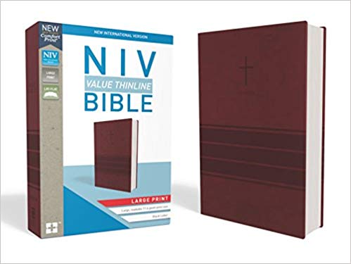 NIV VALUE THIN LP BURGUNDY IM