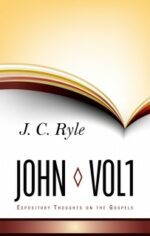 JOHN VOL 1 - EXPOSITORY THOUGHTS