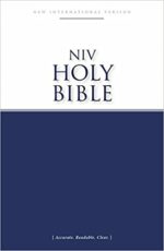 NIV ECONOMY PAPERBACK