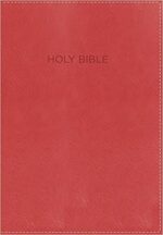 NKJV FOUNDATION STUDY BIBLE IM RED