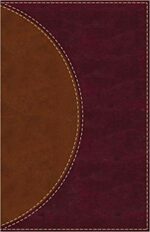 AMPLIFIED READING BIBLE BR IM L TI O/P