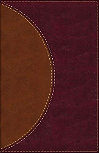 AMPLIFIED READING BIBLE BR IM L TI O/P