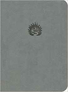 ESV REFORMATION STUDY BIBLE IM LGREY