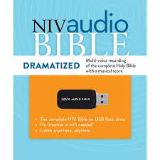 NIV AUDIO BIBLE USB DRAMATISED