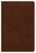 CSB LARGE PRINT ULTRATHIN TAN IM L