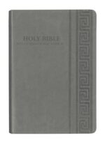 NIV LEATHER LOOK COOL GREY