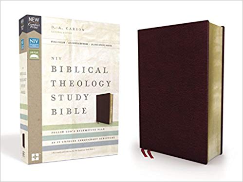 NIV BIBLICAL THEOLOGY STUDY BIBLE BL BUR