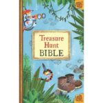 NIrV TREASURE HUNT BIBLE
