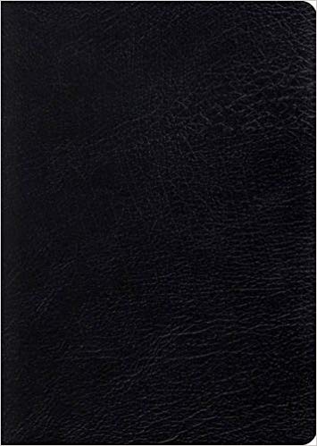 ESV STUDY BIBLE LARGE PRINT GL BLACK