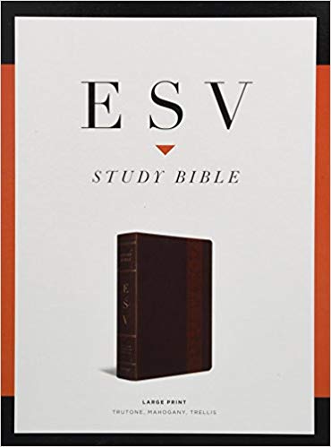 ESV STUDY BIBLE LARGE PRINT TT MAHOGANY