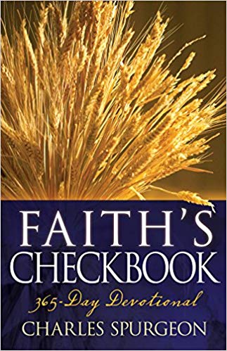 FAITH'S CHECKBOOK (LARGER FORMAT)